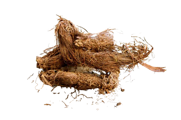 Herbal haircare ingredient